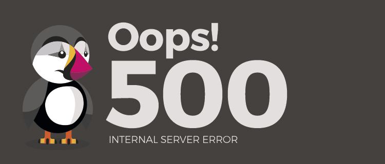 500error